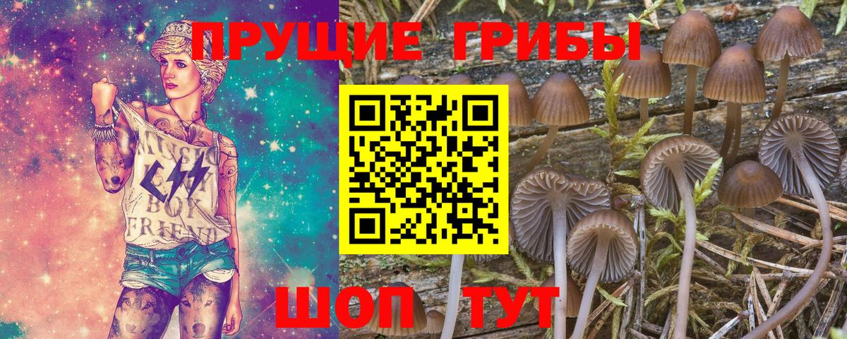 Галлюциногенные грибы ЛСД Рубцовск