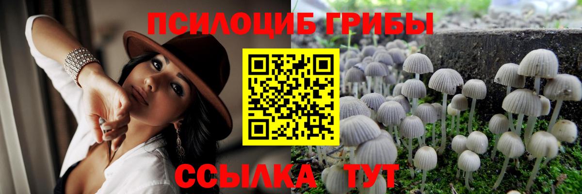 Псилоцибиновые грибы GOLDEN TEACHER  Вход с VPN  купить   Рубцовск 